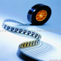 專(zhuān)業(yè)展會(huì)視覺(jué)營(yíng)銷(xiāo)全方案 從宣傳片拍攝到影視節(jié)目制作一站式服務(wù)